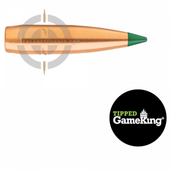 Tipped GameKing 4100T Geschoss